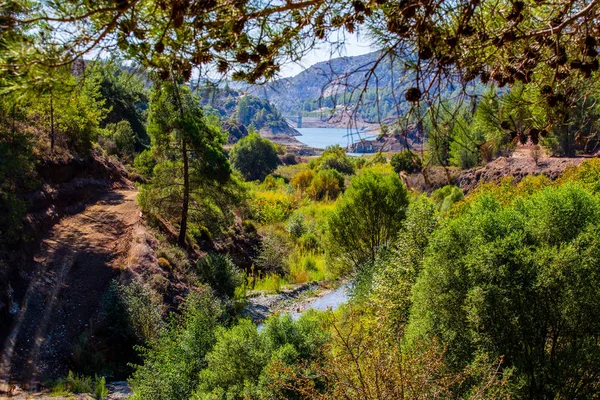 Kıbrıs Troodos Dağları sayısı