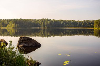 Ladoga Gölü Karelya yaz