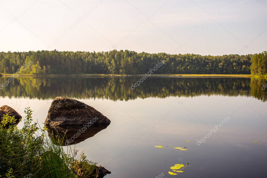 Ladoga Lake Karelia Summer