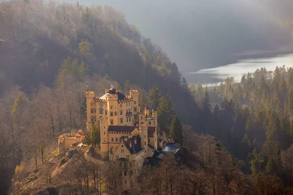 Neuschwanstein Castillo Schwangau Alemán Muchos — Foto de Stock