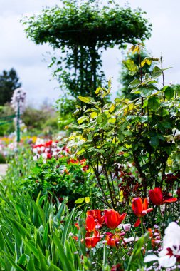 darbeydi claude monet Bahçe