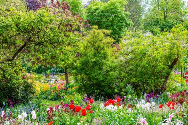 darbeydi claude monet Bahçe