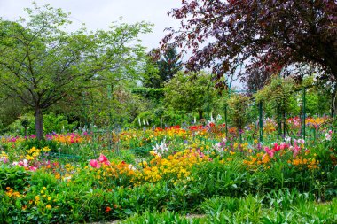 darbeydi claude monet Bahçe