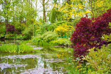 darbeydi claude monet Bahçe