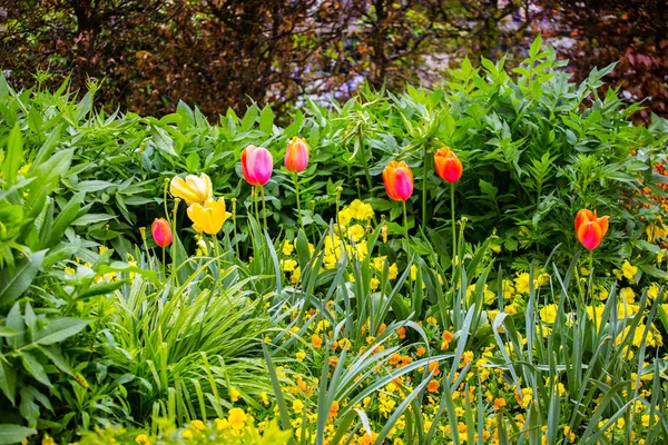 Giverny Claude Monet Κήπος — Φωτογραφία Αρχείου