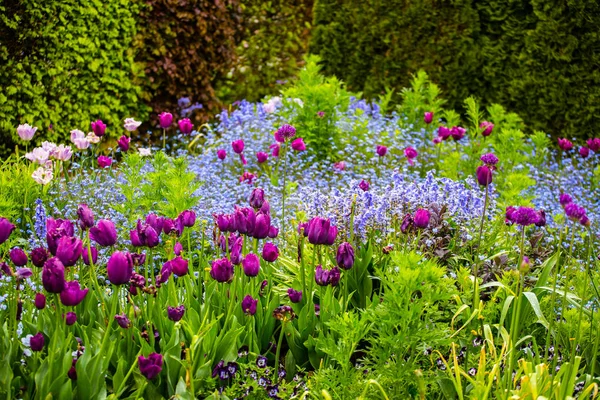 Darbeydi Claude Monet Bahçe — Stok fotoğraf