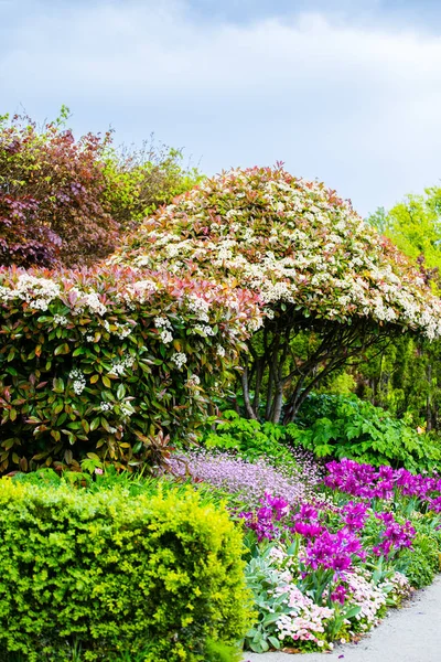 Giverny Claude Monet Zahrada — Stock fotografie