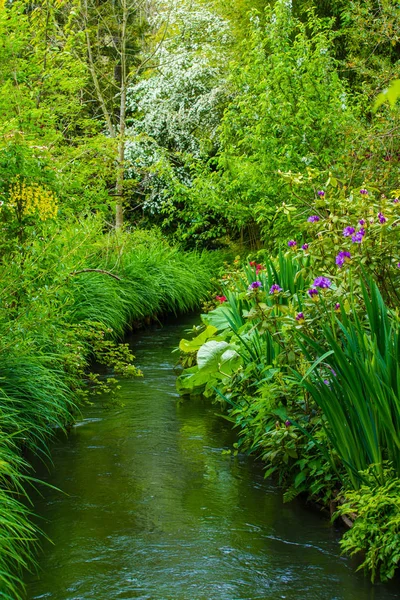 darbeydi claude monet Bahçe