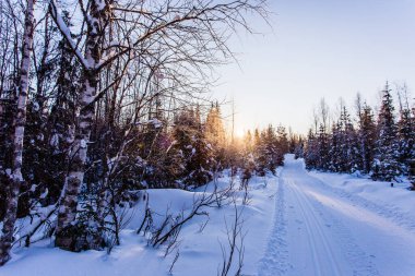 Nordic ski Lapland Finlandiya Paljakka Puolanka