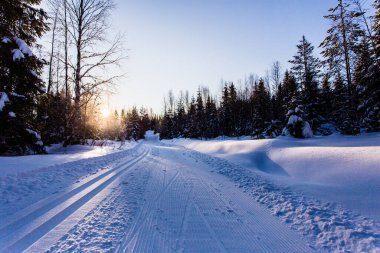 Nordic ski Lapland Finlandiya Paljakka Puolanka