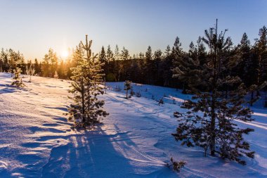 Laponya Finlandiya Paljakka Puolanka