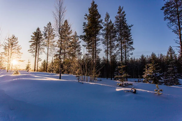 Lappland Finland Paljakka Puolanka — Stockfoto