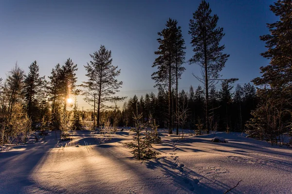 Lappland Finland Paljakka Puolanka — Stockfoto
