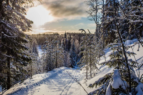 Nordisk Skida Lappland Finland Paljakka Puolanka — Stockfoto