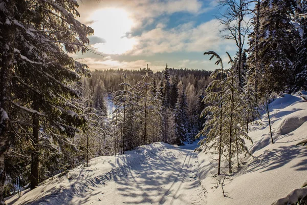 Nordic Ski Lapland Finlandiya Paljakka Puolanka — Stok fotoğraf