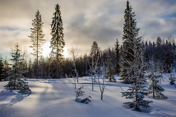 Lapponia Finlandia Paljakka Puolanka — Foto Stock