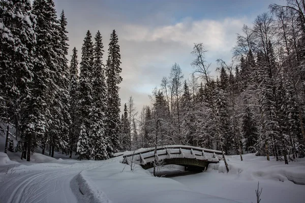 フィンランドにスキーホテルPaljakka Puolanka — ストック写真