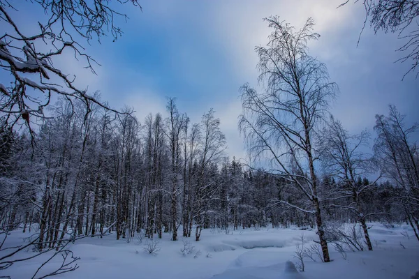 Lapland Finland Paljakka Puolanka — Stockfoto