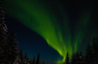 Finlandiya 'da Paljakka Puolanka yok