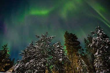 Finlandiya 'da Paljakka Puolanka yok