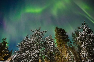 Finlandiya 'da Paljakka Puolanka yok