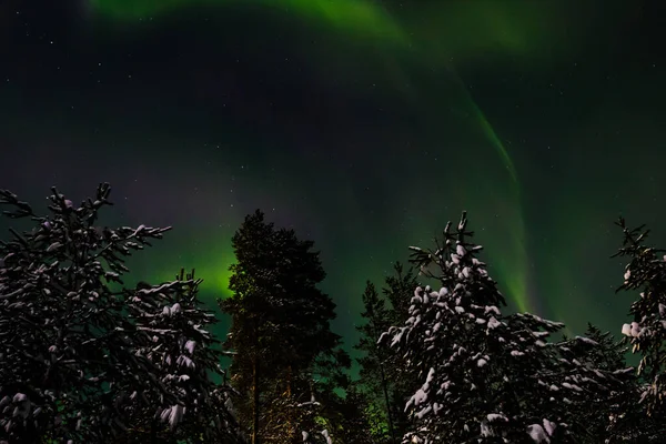 Nothern Lights Finland Paljakka Puolanka — Stock Photo, Image