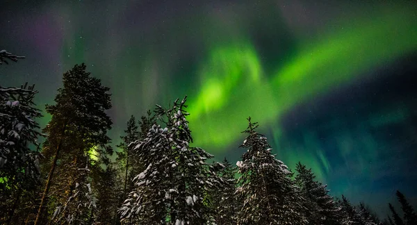 Nothern Lights Finland Paljakka Puolanka — Stock Photo, Image