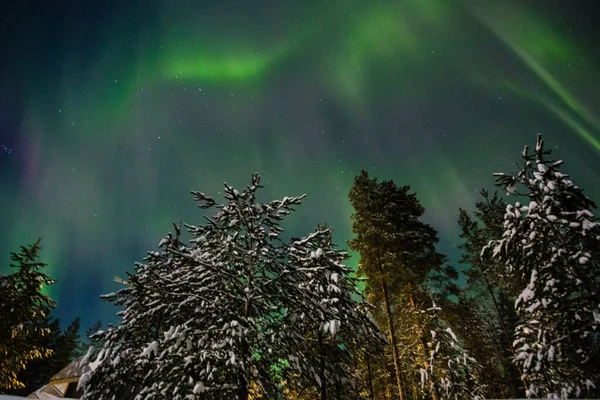 Finlandiya 'da Paljakka Puolanka yok