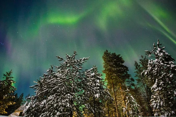 Finlandiya 'da Paljakka Puolanka yok