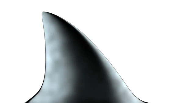 Shark Fin 3d Görüntü