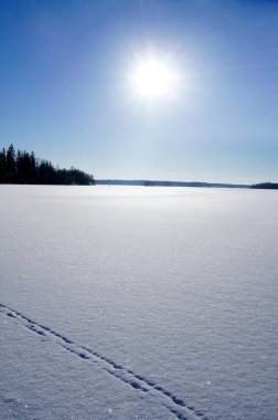 İsveçli kış manzarası