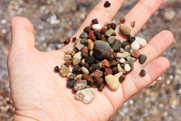 Pierres de galets de mer à la main ouverte — Photo