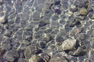 Taşlar ve kabuk deniz plaj