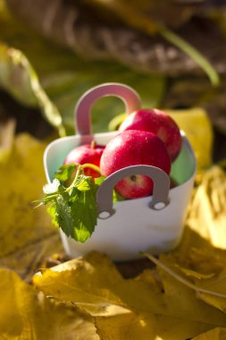 Alışveriş bir plastik torba sonbahar kırmızı elmalar