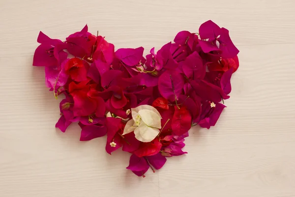 Сердце из ярко-розовых цветов — стоковое фото