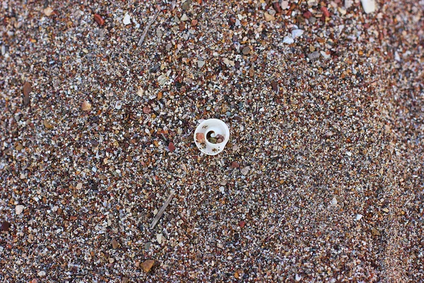 Pierres et coquillages sur la plage de sable à la mer — Photo