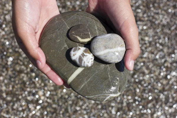Grande pierre marine grise mouillée dans les mains sur la plage — Photo