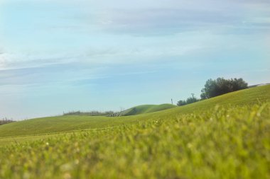 Belek Golf Sahası. Yeşil çim sahada. Mavi gökyüzü, güneşli 