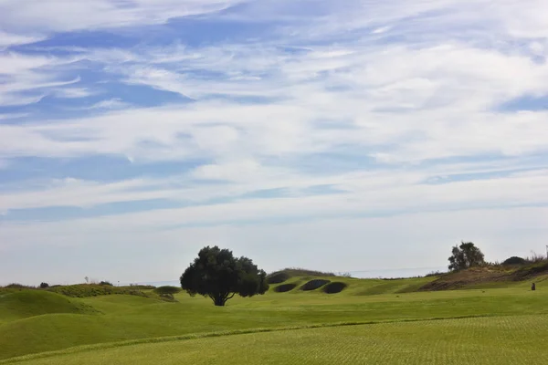 Golfbanan i Belek. Grönt gräs på fältet. Blå himmel, solig — Stockfoto