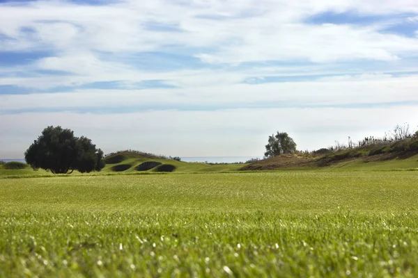 Pole golfowe w Belek. Zielona trawa na boisku. Błękitne niebo, słoneczny — Zdjęcie stockowe