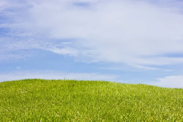 Golfpálya a Belek. Zöld fű a pályán. Kék ég, sunny — Stock Fotó