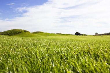 Belek Golf Sahası. Yeşil çim sahada. Mavi gökyüzü, güneşli 