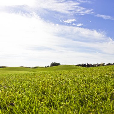 Belek Golf Sahası. Yeşil çim sahada. Mavi gökyüzü, güneşli 