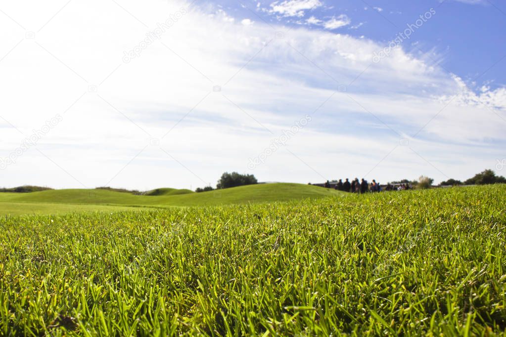 Golf course in Belek. Green grass on the field. Blue sky, sunny 