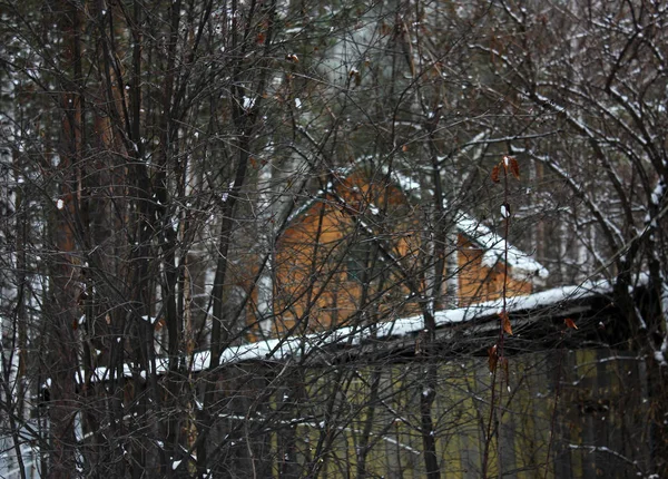 Antigua casa de madera en un bosque nevado de invierno —  Fotos de Stock
