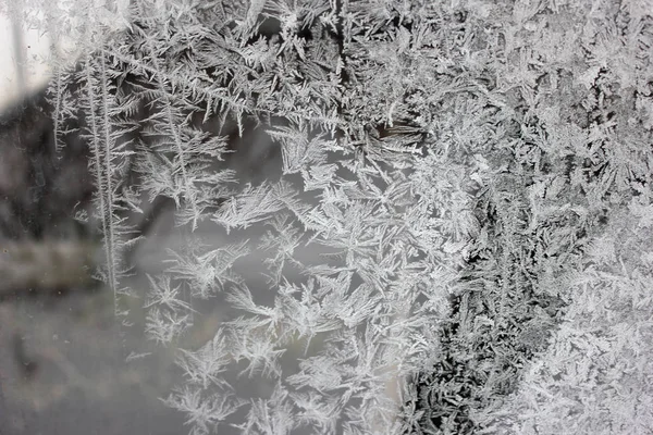 Inverno grigio modello gelido sul vetro della finestra — Foto Stock