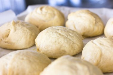 Buhar buns Maya buğday hamur bir tepsi