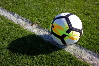 Yeşil çimenli saha kapıda beyaz futbol topu