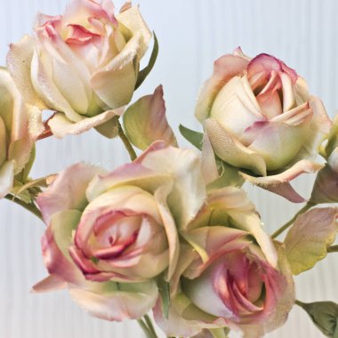 Pembe ve beyaz güllerden oluşan büyük tomurcuklar. T yapay ipek çiçekler