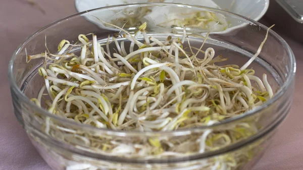 Soybean sprouts in a salad glass bowl — Stock Photo, Image